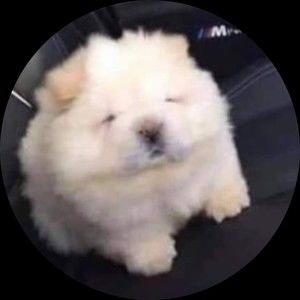 Meet your Posher, Cherise